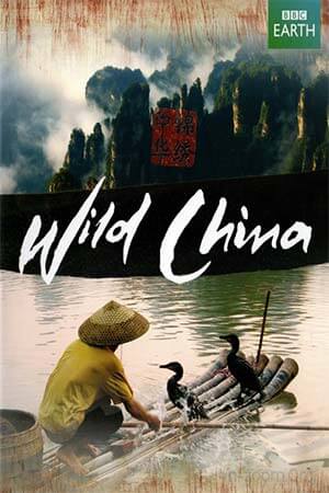 Thiên Nhiên Hoang Dã Trung Quốc - Wild China