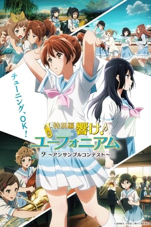 Sound! Euphonium: Ensemble Contest Arc